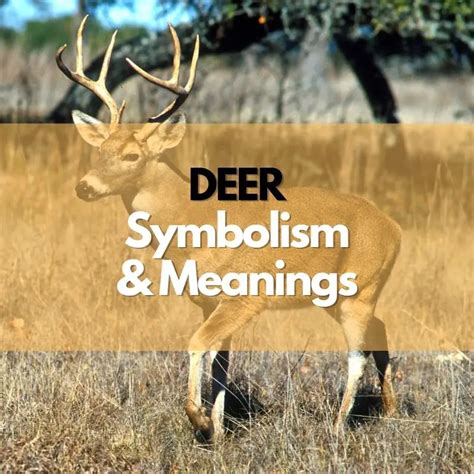 deer meaning in telugu